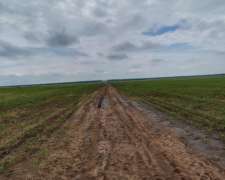 Excelente Campo Agrícola en Santiago del Estero