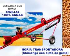 Noria Transportadora ( Chimango ) con Cinta de Goma