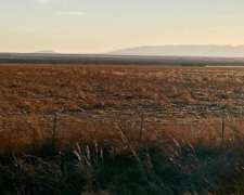 Campo Agrícola en Venta - 155 Ha - Zona Alsogaray