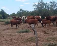 Vendo Estancia en Nogoli