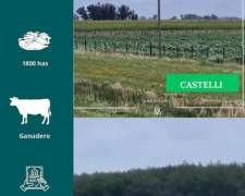 Campo en Castelli 1800 Has