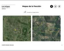 Campo en Huanqueros (las Avispas)