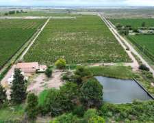 Vende Finca 25 H - D° A Riego, Pozo Y Represa - Chapanay