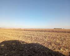 450 Ha en Venta Norte de Córdoba