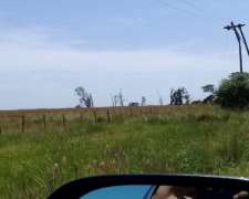 Pcia. de Corrientes - Concepción