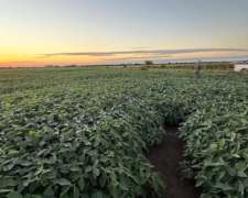 Dispongo de Campo para Capitalizar Hacienda en Ceres,sta FE