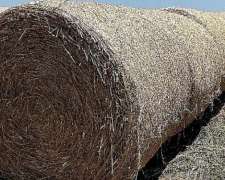 Rollos de Pasturas y Colas de Cosecha Consulte