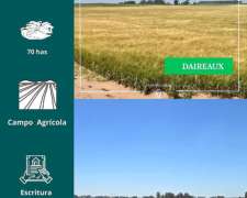 Campo en Daireaux 70 Has