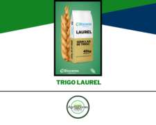 Semilla De Trigo Laurel - Bioceres