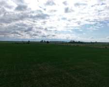 83 Has - Agricolas Sobre Asfalto en Saguier (santa FE)