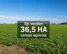 En Venta 36,5 Ha Campo Agricola Cañada de Gomez, Santa FE