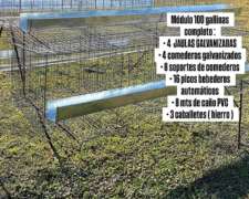 Jaulas para Gallinas Ponedoras (módulo para 100 Aves)