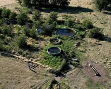 300 Has Monte Nievas