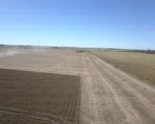 Venta 440 Has Agricolas