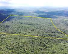Se Vende Chacra En Roca Chica 71 Ha, Todo Monte Nativo Con A