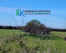 Campo en Dto. Uruguay, Entre Ríos