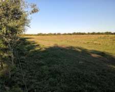 Campo 40 Hectáreas , Paraná ER
