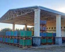 Campo con Fabrica de Aceite de Oliva en Catamarca