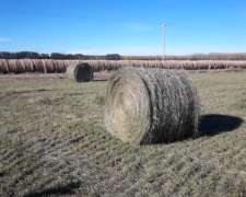 Vendo Campo Bajo Riego PTO X Hacienda