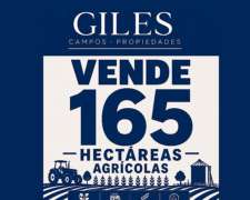 Campo Agrícola 165 Hectáreas Baradero