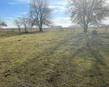 Campo 115 Ha Agricolas Venta Saladillo
