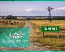 Campo A La Venta - 400 Ha - Sur De La Provincia De Córdoba.