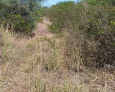 Vende. Suncho Corral 1800 Has.