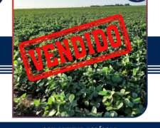 En Venta 100 Has. Colonia Barón, la Pampa