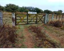 Campo Ganadero de Alta Producción en Unión, San Luis, Argent