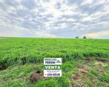 Campo Gandero Cria 765 Has. en Centro de Pcia. de BS AS.