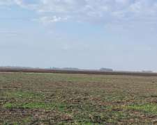 C.casares Mixto Oportunidad- SE Escuchan Ofertas Retasado