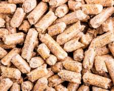 Pellet De Cáscara De Soja - Lasna Insumos - Mín 28 Tn