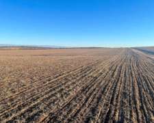 Pcia. de Cordoba - Elena 813 Has