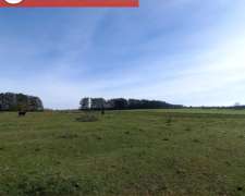 50 Has Zona Puerto Yerua , Entre Rios