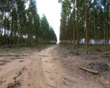Ituzaingó - 539 Ha - Corrientes