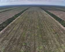 Vendo Campo Mixto en el Bobadal.