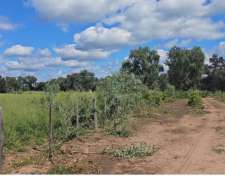 1250 Ha Monte, Con 350 Ha Quemadas Para Agricultura