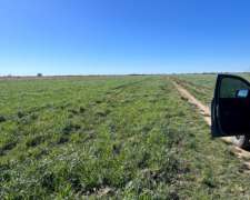 350 Hectáreas Gral. San Martin, la Pampa