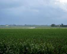 Venta De Campo En Coronel Suarez -2000 Ha