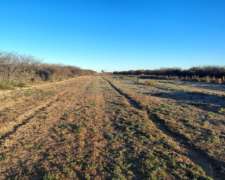 1300ha Mixtas en el Departamento de Conhelo la Pampa