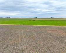 Pcia. de Santa FE - Wheelwright 511 Has