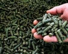 Pellet de Alfalfa - Calidad Premium. Precio a Consultar