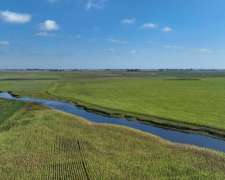 Pcia. de Buenos Aires - Roque Perez 243 Ha