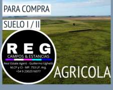 Busco para Compra 1500 Has