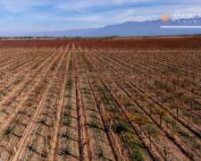 46 Has. Finca en Cordon del Plata, Mendoza