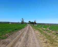 Maciá, Entre Ríos - 123 Ha