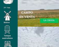 Campo la Choza 211 Has
