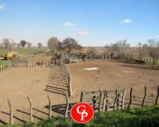 En Venta,1200has. Winifreda, La Pampa.-