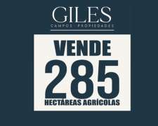 Campo Agrícola 285 Hectáreas