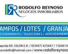 13 HA. en Colonia San Anselmo (colón - ER)